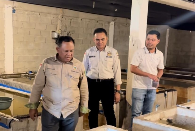 Bersama BRI, Khairul Fikri Bermimpi Ciptakan Ekosistem Perikanan Patin