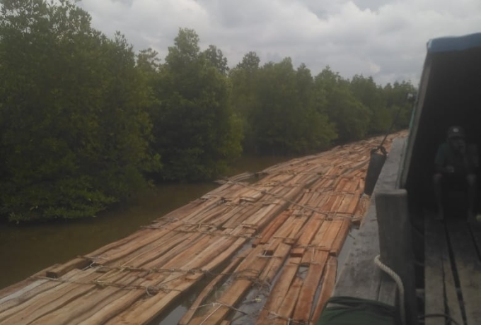 Perambahan Hutan Dipulau Tebing Tinggi Lahan Gundul Bencana Alam Mengancam