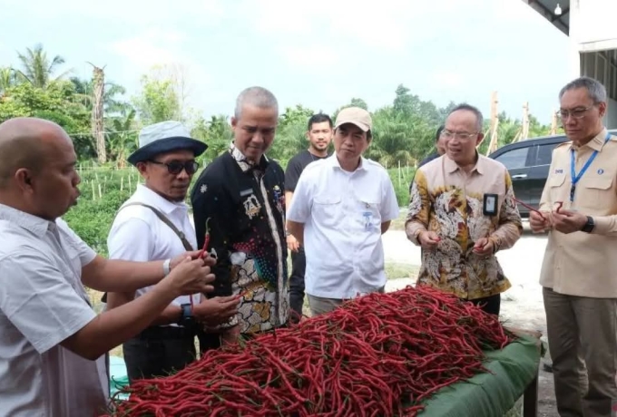 BRI Dukung Ekosistem Usaha Poktan Jaring Mas Sejahtera