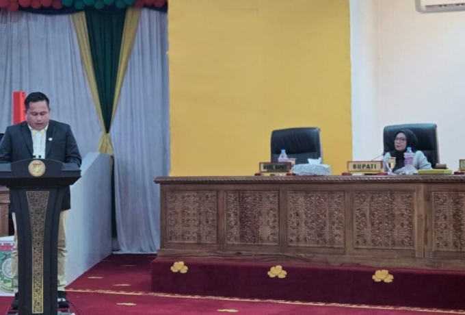 Anggota Pansus 1 DPRD Kampar Rinado Saputra Sampaikan Sejumlah Rekomendasi Kepada OPD