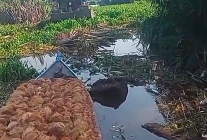 Pendangkalan Sungai Anak Serka: Warga Minta Pemerintah Turun Tangan