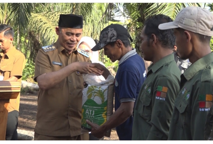 Bupati Inhil Tanam Perdana Padi Gogo di Lahan Sawit