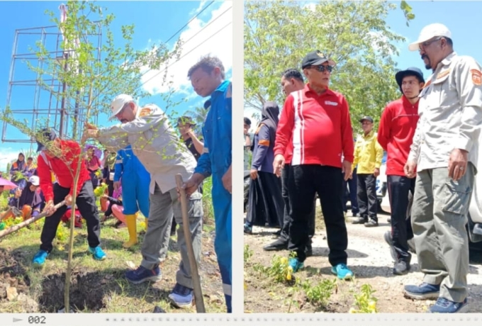 Bupati Rohil H Bistamam dan Kadis LH Rohil Suwandi Bersama Petugas Lakukan Goro dan Penanaman Pohon