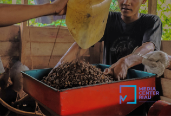 Nama Kopi Robusta Talang Mamak Diusulkan Jadi Produk Kekayaan Intelektual
