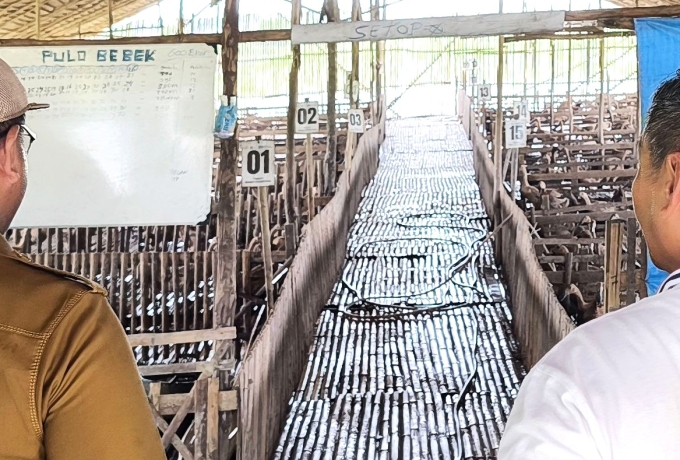 PLN Bersama IZI dan Pemerintah Kota Palembang Resmikan Program TJSL Bangun Industri Desa Berdaya di Pulokerto