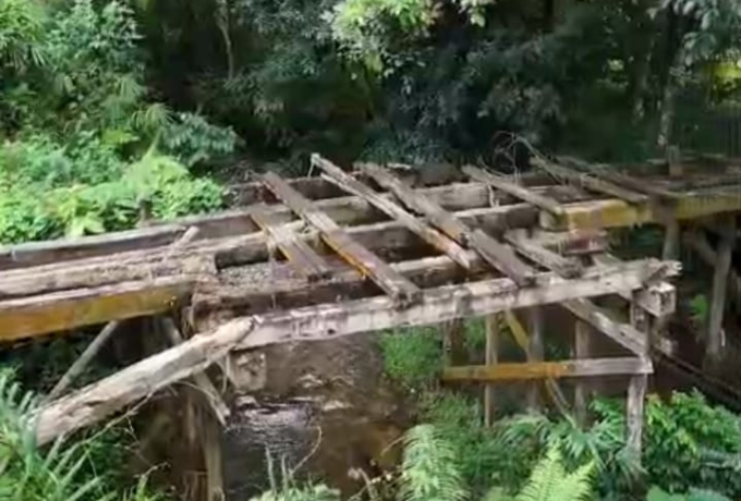 Viral di Media Sosial, Kondisi Jembatan Desa Lubuk Agung Picu Aksi Cepat Polda Riau
