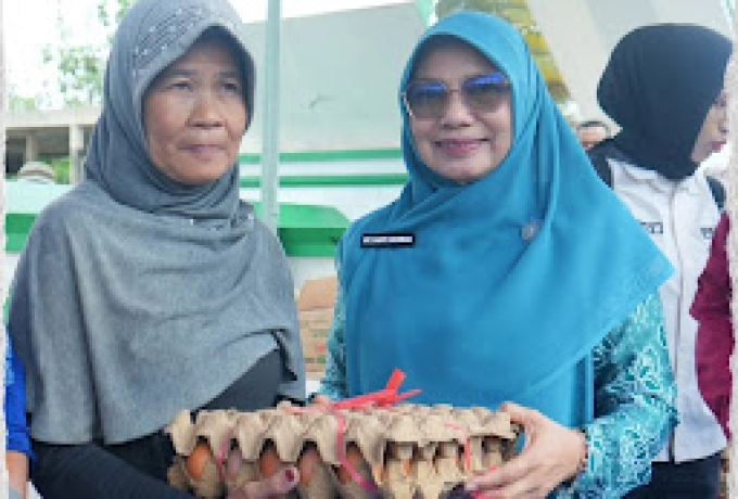 Pemkab dan TP PKK Inhil Gelar Pasar