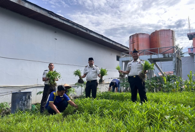 Ketahanan Pangan Berkelanjutan, Lapas Tembilahan Kembali Panen Kangkung 40 Kg