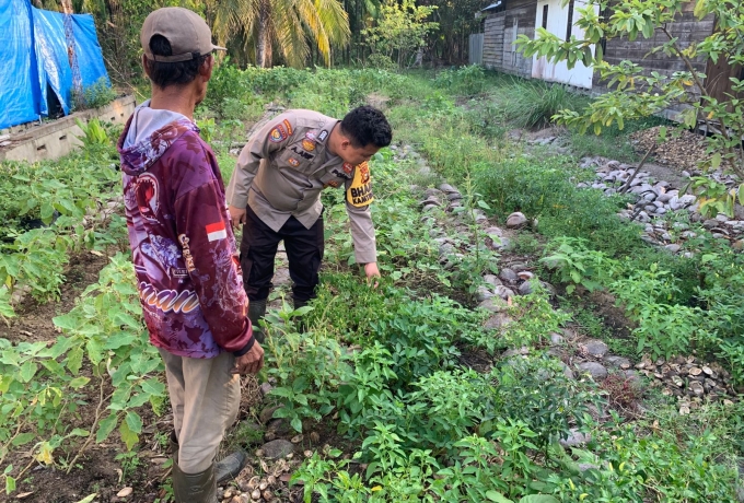 Dari Patroli ke Ladang, Bhabinkamtibmas Tanjung Harapan Dampingi Petani Cabe