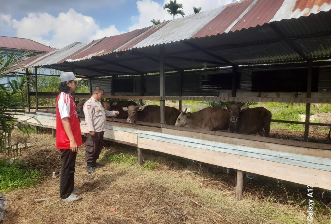 Ketahanan Pangan, Bhabinkamtibmas Sambangi Peternakan Sapi di Desa Pengalihan