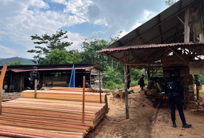 Polda Riau Bongkar Sawmill Ilegal di Kampar, Satu Tersangka Ditahan
