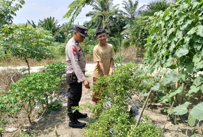 Kapolsek Keritang Apresiasi Bhabinkamtibmas Petalongan Kawal Program Pertanian