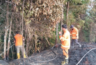 news_1778156043.jpg