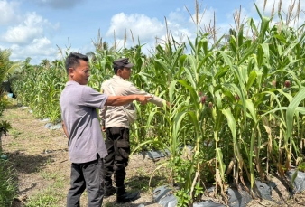 news_1778165413.jpg