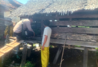 news_1779367635.jpg