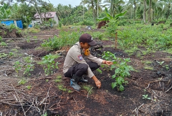 news_1779973946.jpg