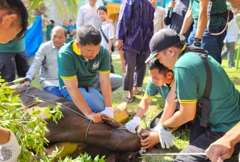 news_1780025355.jpg