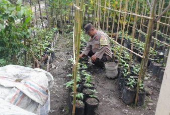 news_1781088558.jpg