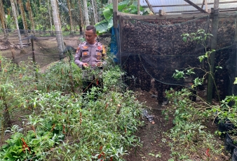 news_1781098377.jpg