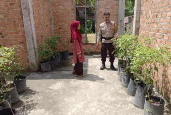 news_1781317385.jpg