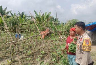 news_1781443527.jpg