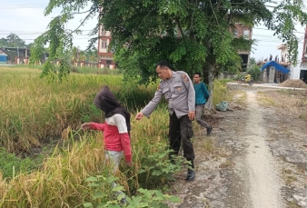 news_1781513371.jpg